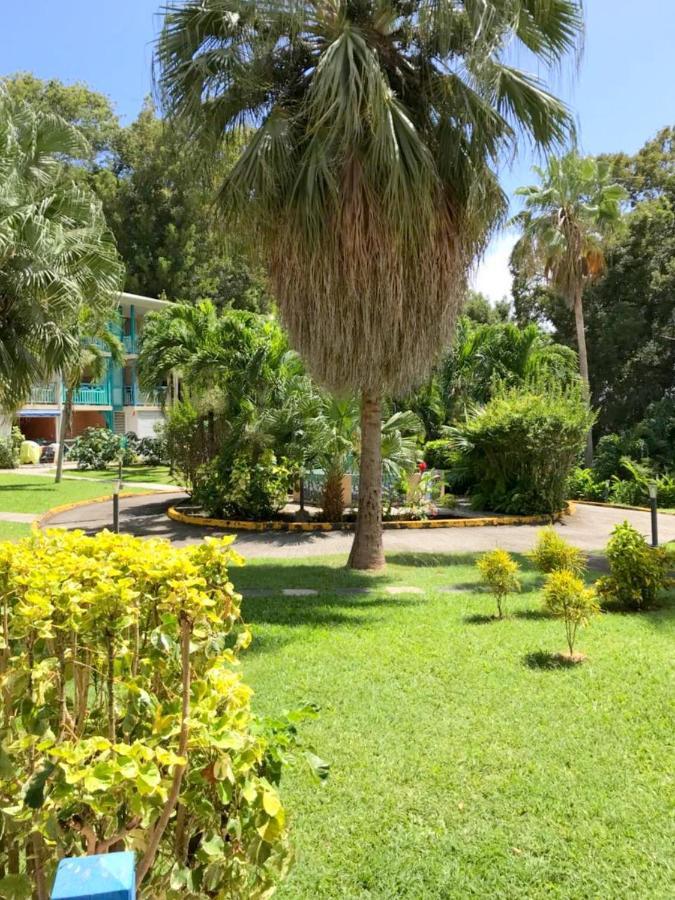 סנטה-אנה Color Garden - Studio Martinique מראה חיצוני תמונה