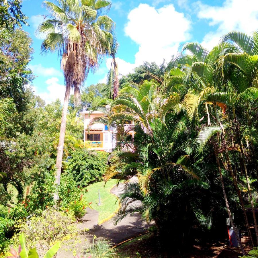 סנטה-אנה Color Garden - Studio Martinique מראה חיצוני תמונה