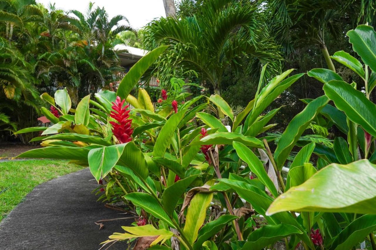 סנטה-אנה Color Garden - Studio Martinique מראה חיצוני תמונה