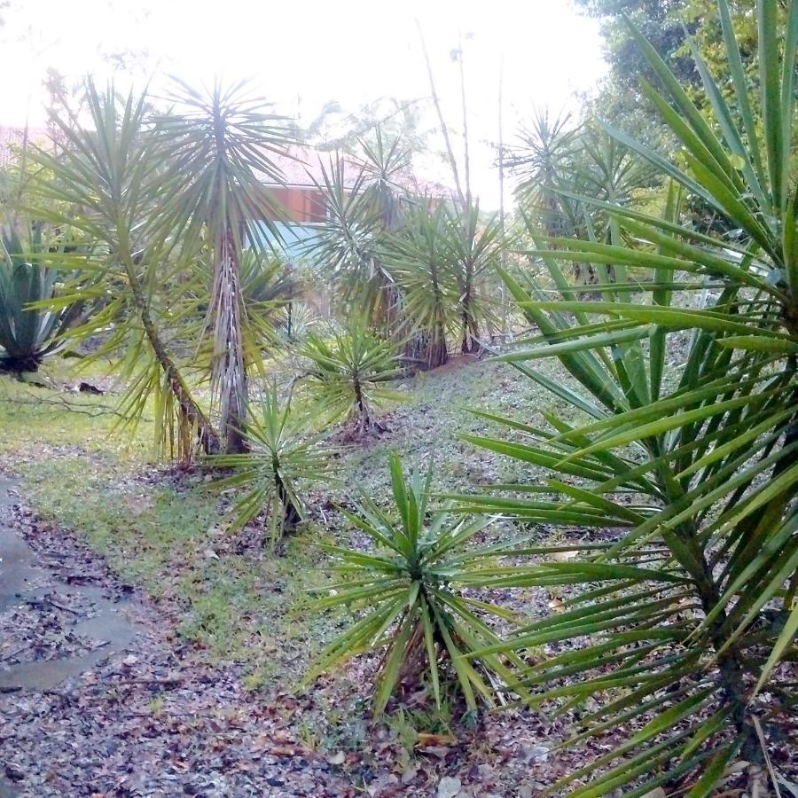 סנטה-אנה Color Garden - Studio Martinique מראה חיצוני תמונה